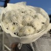 Букет из белой хризантемы Алтай — красивый, пышный букет
